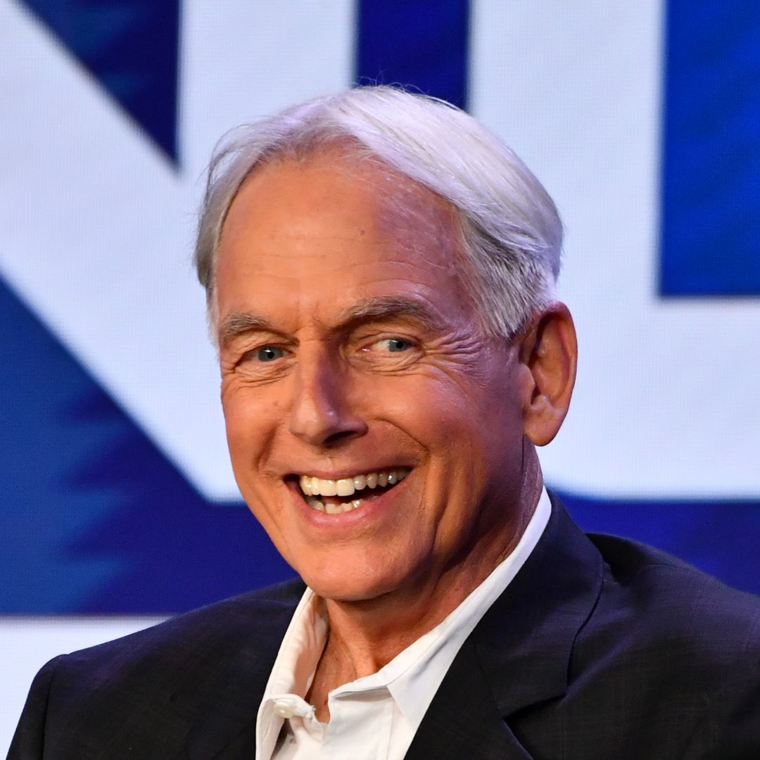 How Mark Harmon's wife Pam Dawber helped fellow NCIS star start career