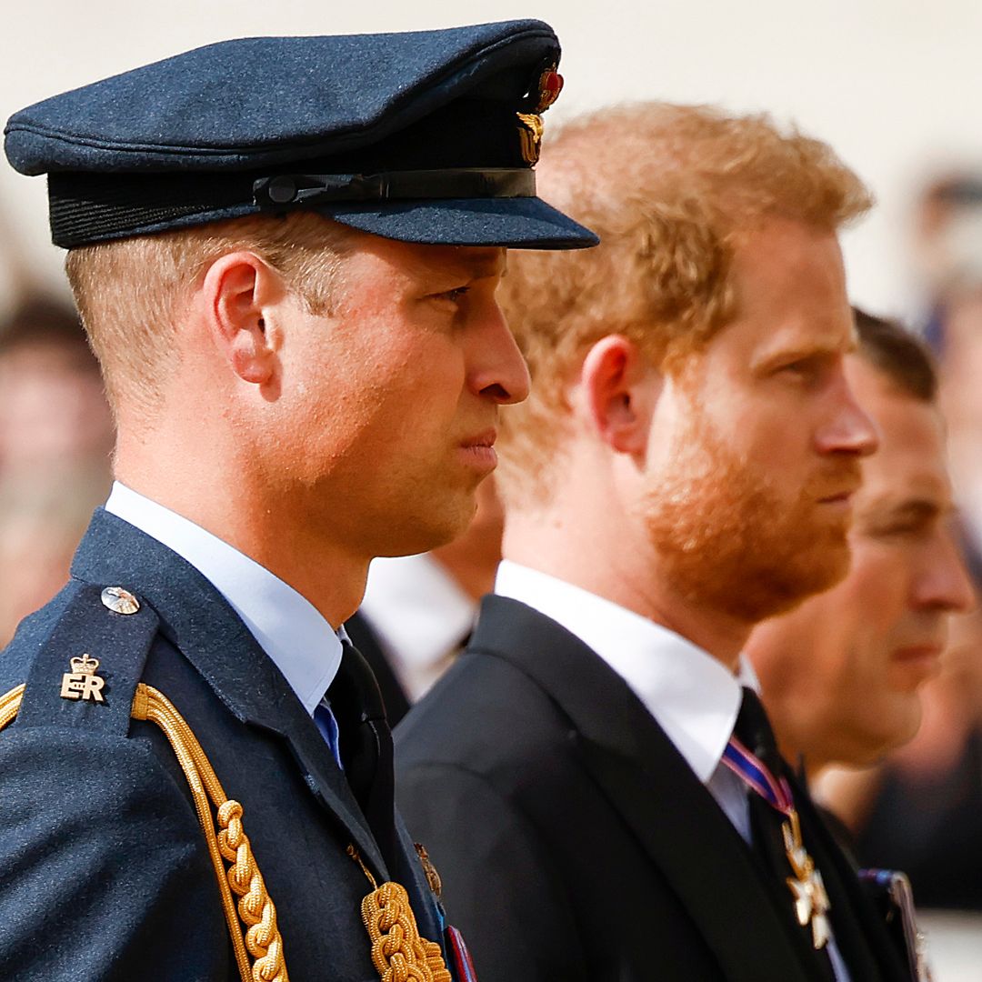 Prince William and Prince Harry's estrangement will reach a 'flashpoint' in 2026